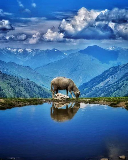 Beautiful Nature image