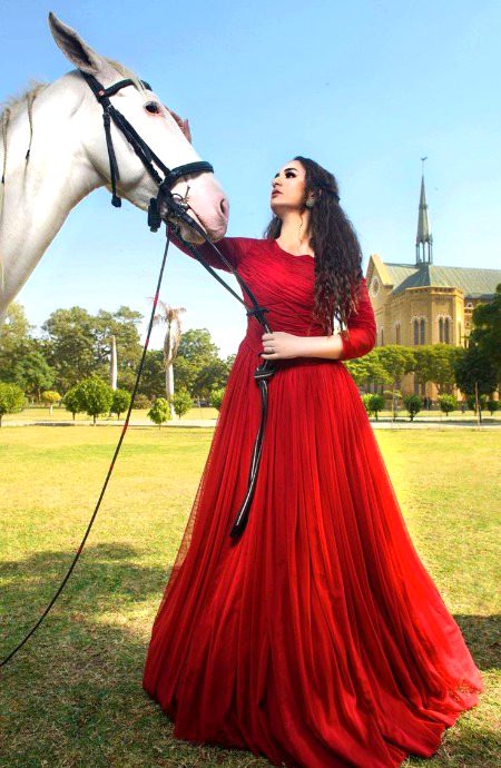 Pakistani Celebs image