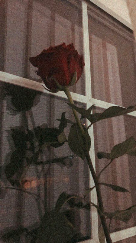 Beautiful Nature image