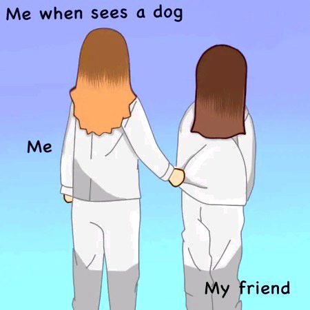 Memes & Satire image