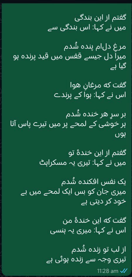 فارسی شاعری پارٹ 4