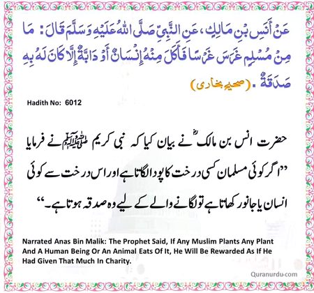 Bnjgbgfv njgvntf jhfbnh