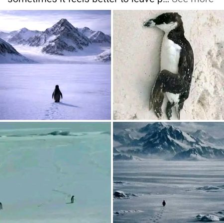 میرا ہنوز ایمان ہے 
کہ انسان ایک ہی بار دفعتاً نہیں مرتا
بلکہ وہ جزء جزء ہو کر مرتا ہے 
جب بھی کوئی دوست رخصت ہوتا ہے ،ایک جزء مر جاتا ہے 
اور جب بھی کوئی محبوب ہم سے جدا ہوتا ہے،،ایک جزء مر جاتا ہے 
اور جب بھی ہمارے خوابوں میں سے کوئ خواب قتل ہوتا ہے،ایک جزء مر جاتا ہے
پس بالآخر سب سے بڑی موت آتی ہے،جسے کل اجزاء مردہ ملتے ہیں ،پس وہ انہیں اٹھاتی ہے اور چلی جاتی ہے