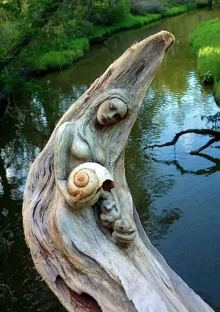 Beautiful Nature image