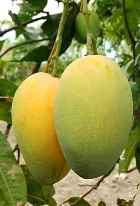 Beautiful Nature image