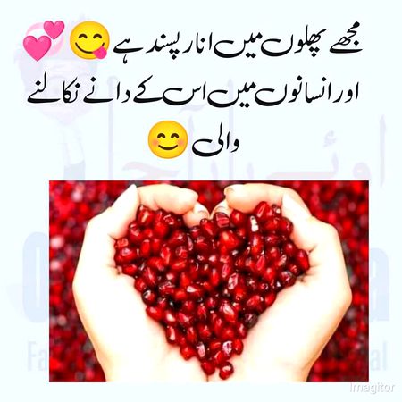 Memes & Satire image