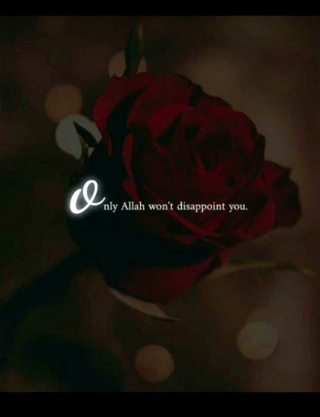 Islamic Quotes image