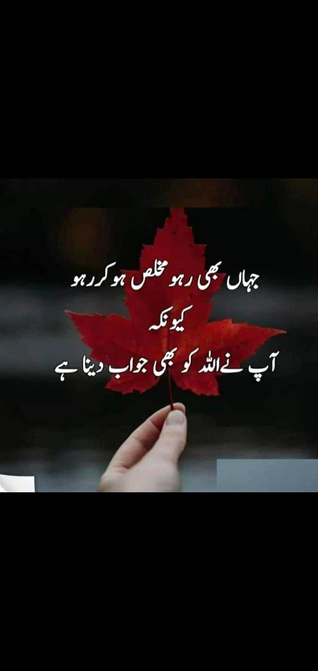 قدیم زمانہ خلوص کا تھا اب بس دکھاوا۔