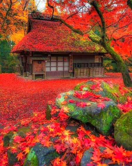 A National Park in Japan 🇯🇵