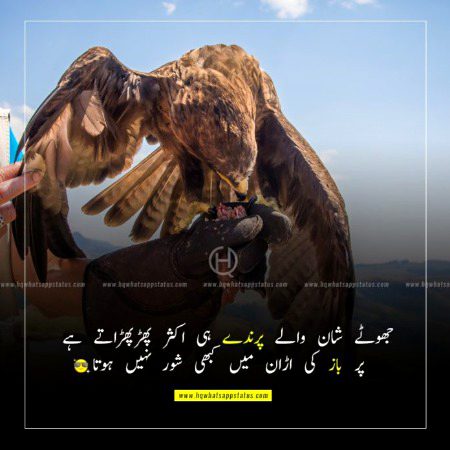 Attitude Poetry image