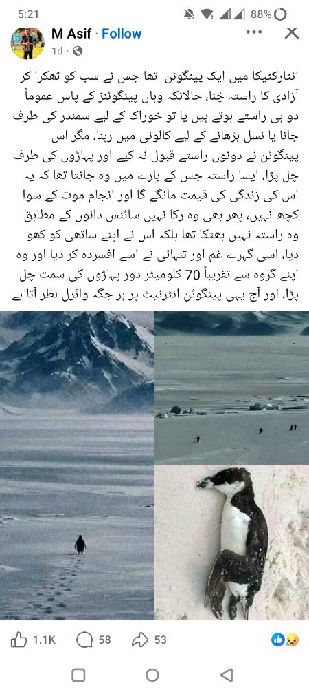 Penguen wala scene..