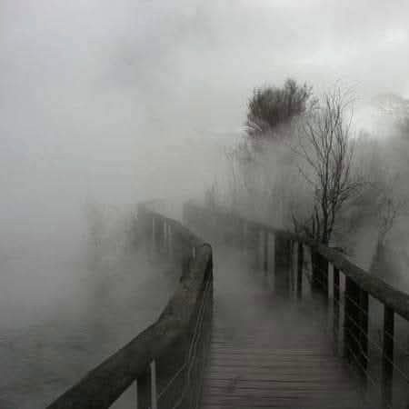 Beautiful Nature image