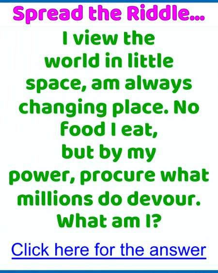 Riddles & Puzzles image