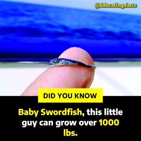 Interesting Posts image