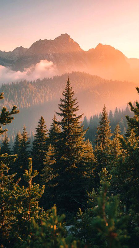 Beautiful Nature image