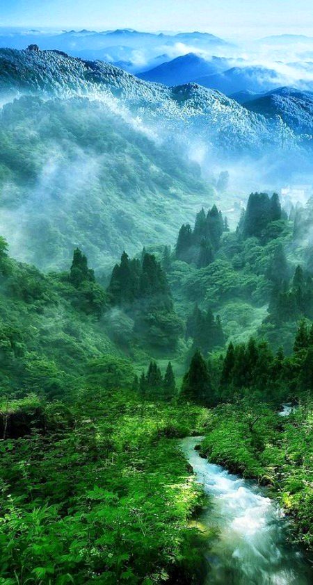 Beautiful Nature image