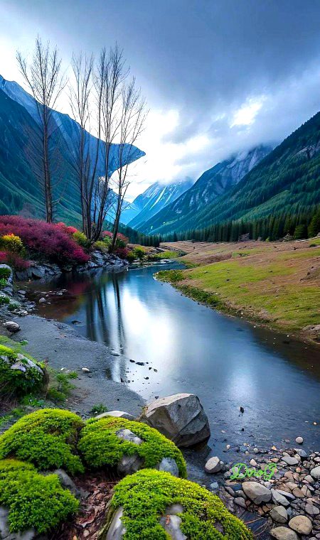 Beautiful Nature image