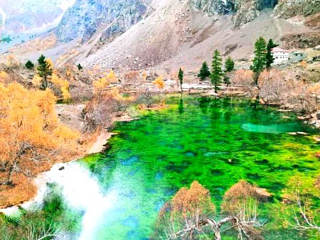 Beautiful Nature image