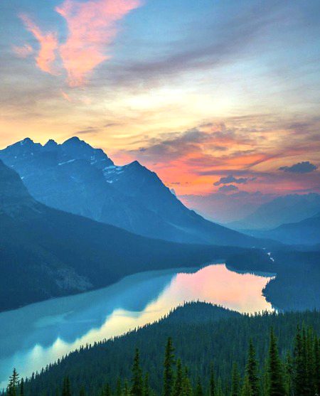 Beautiful Nature image