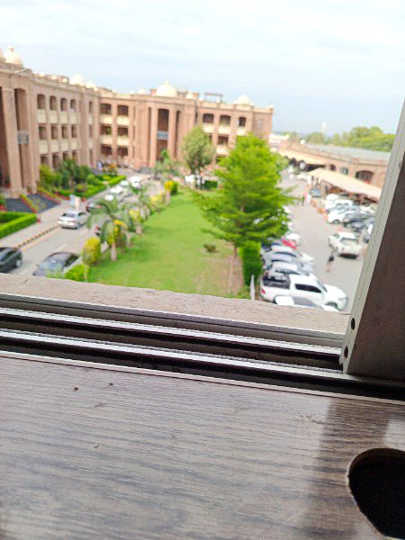 Zamong office