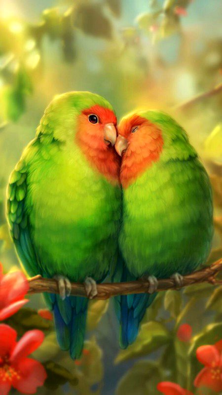 Beautiful Nature image