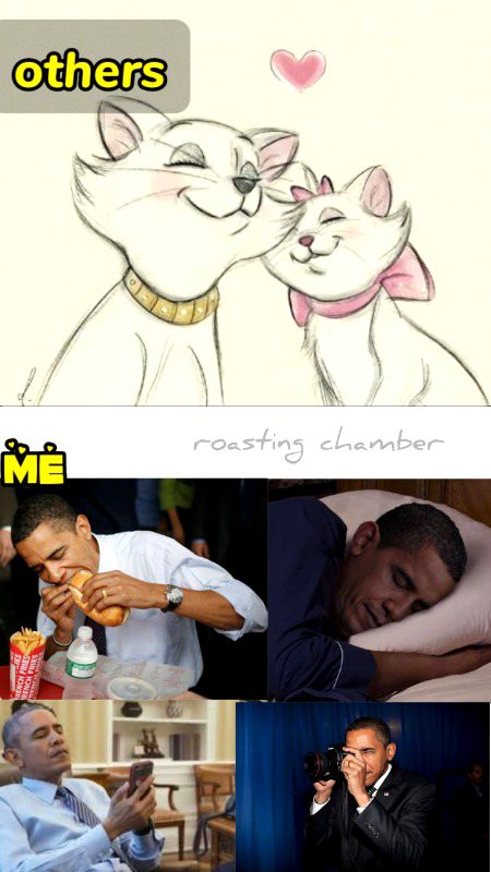 Memes & Satire image