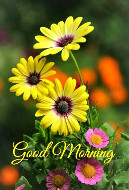 .q3 🌷🌷🌷🏵  
🌷🌷🌷
  How🌻🌺🌼🌼 r🌷🌷🌼🌻 u 🌷🌼🌻all🌷🌷🏵