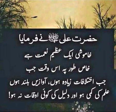 Motivational Quotes image