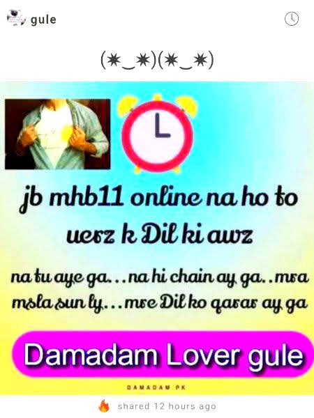 Damadam Roasting image