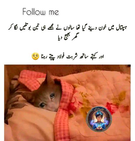 Memes & Satire image