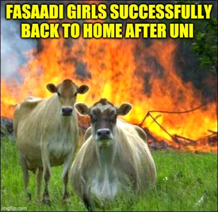 Memes & Satire image