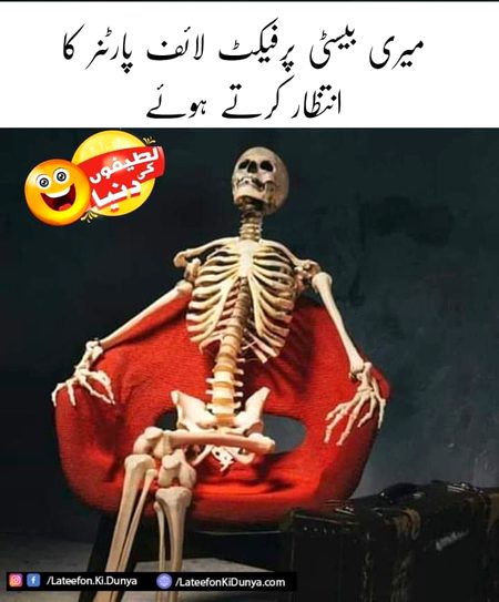 Memes & Satire image