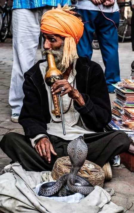 یہ بین مجھے بھی تو سکھا دے مرے جوگی
کچھ سانپ مرے حلقہِ یاراں میں چھپے ہیں