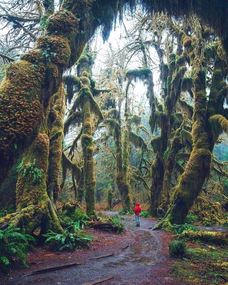 Beautiful Nature image