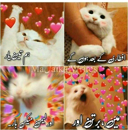 Memes & Satire image