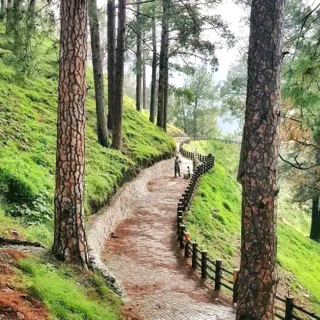 Beautiful Nature image