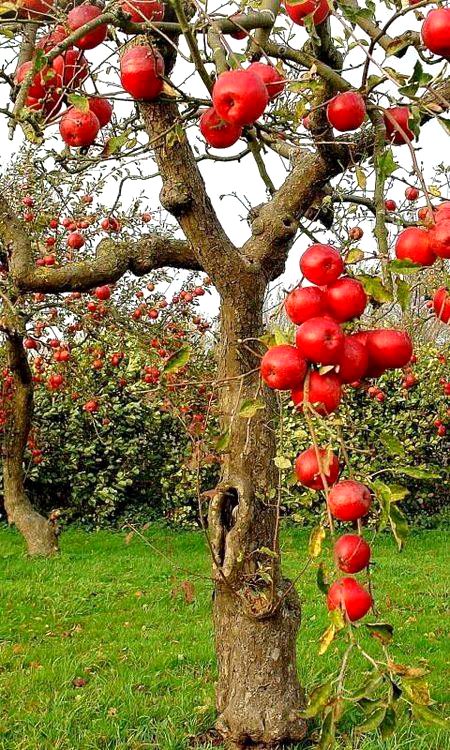 Beautiful Nature image