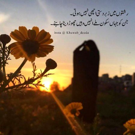 Life Advice image