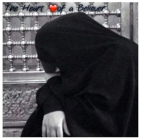 💞مجھے اپنا قرب عطا کر مولا💞
یہ سانس پہلی کچھ بھی نہیں
میری ذات اکیلی کچھ بھی نہیں
مجھے اپنے عشق میں ضم کرنا
اے میرے کریم کرم کرنا
تیری خوشبو میری چادر
تیرے تیور میرے زیور