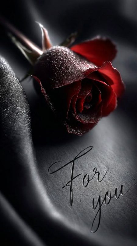 wo muhabat ky asoolon ki bat karti h.a1 or itny me mera hasa nikl jata h.a1