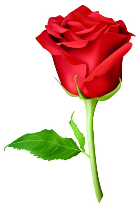 Digital Art image