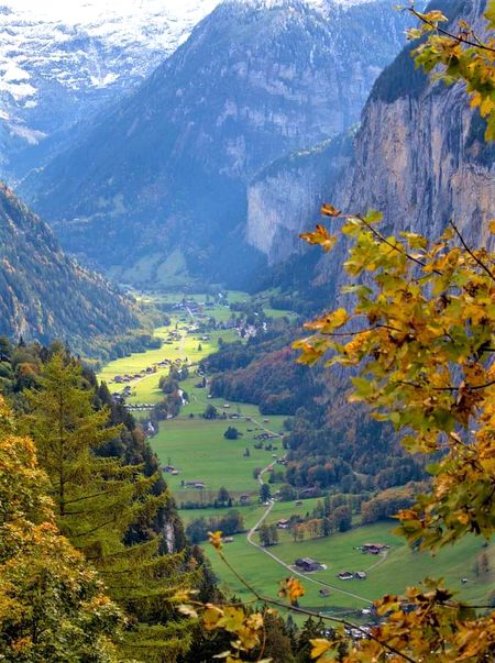 Beautiful Nature image