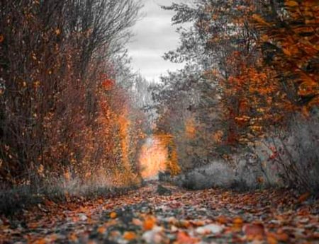 خود پکارے گی جو منزل تو ٹھہر جاٶں گی
ورنہ خوددار مسافر ہوں گزر جاٶں گی ۔۔۔