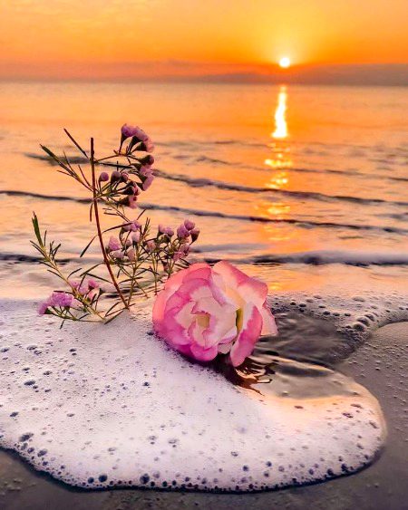 Beautiful Nature image