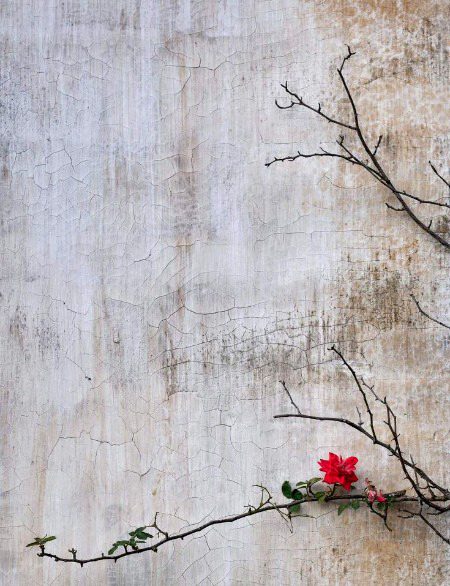 Beautiful Nature image