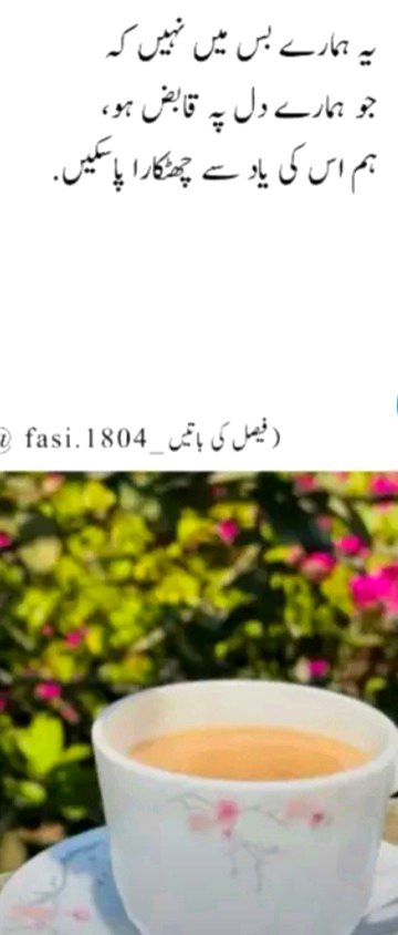 ....
,,,,,
...
,,,