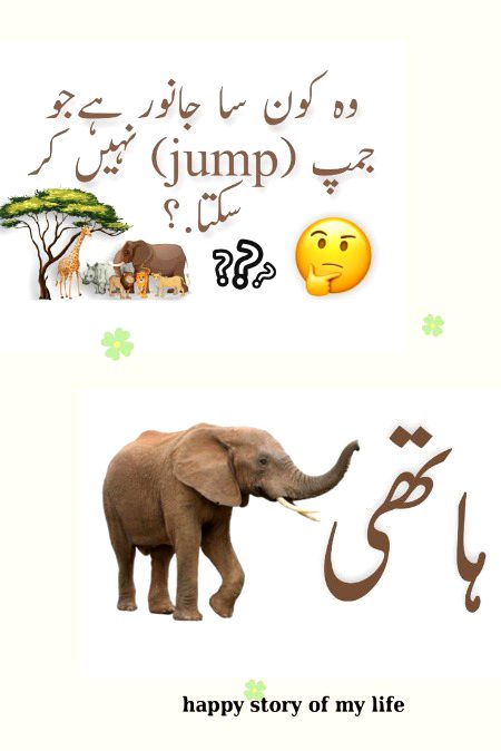 Riddles & Puzzles image