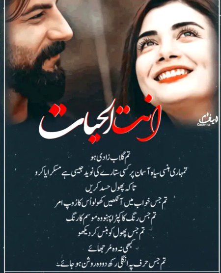 Romantic Novels image