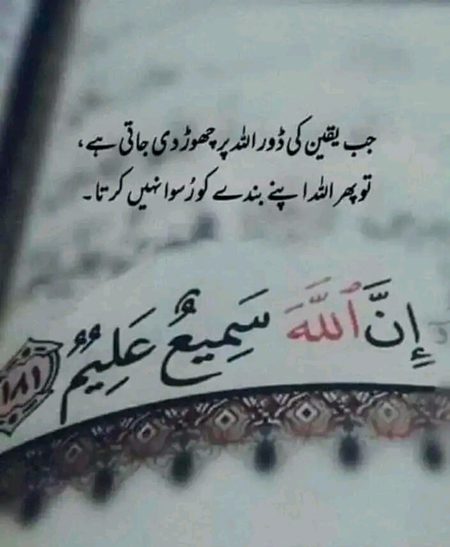 Islamic Quotes image