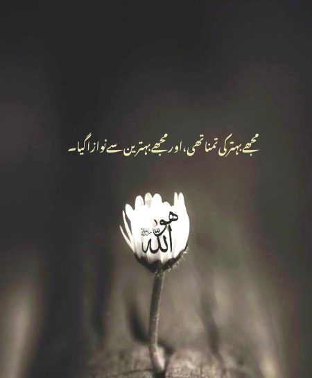 Beshak